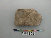 藏品(磨製石斧)的圖片